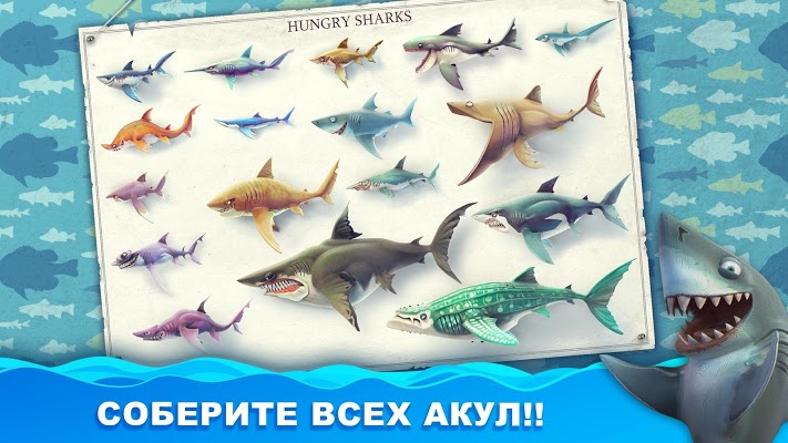 Download Hungry Shark Evolution mod APK 7.9.0 for Android 